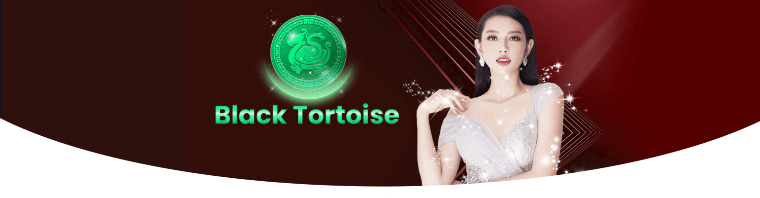 casino bonuses - 12VIP